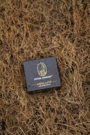 AFTABI PURE SHILAJIT 10G